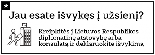 6 Daklaravimas Isvykes 1024x366